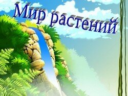 Мастер - класс "Путешествие в мир растений"