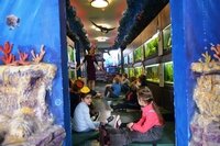 Занятия в аквариумальной